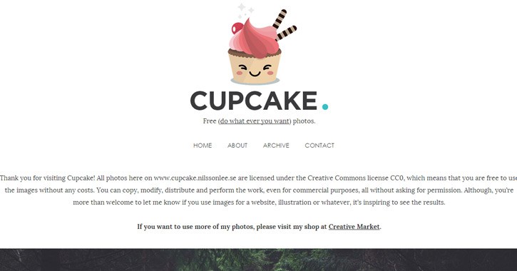 cupcake stock photos