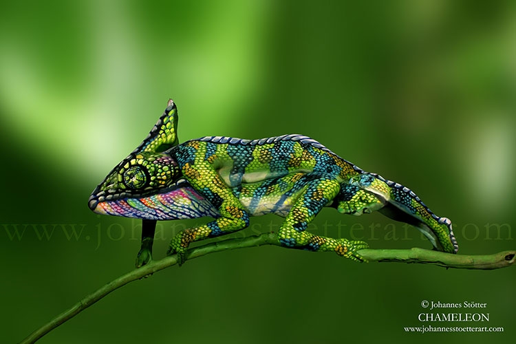 body-art-paintings-nature-inspired-illusions-animal-2