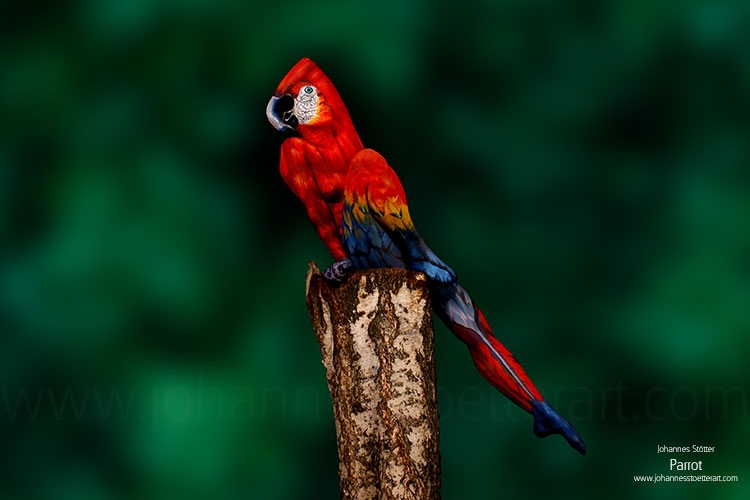 body-art-paintings-nature-inspired-illusions-animal-3a