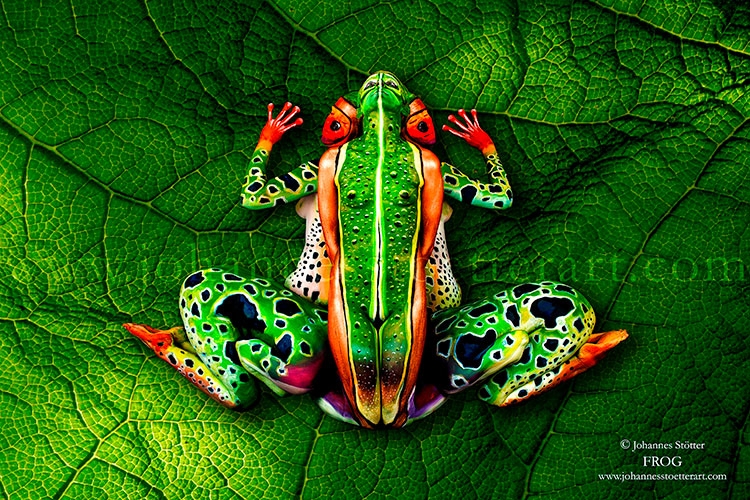 body-art-paintings-nature-inspired-illusions-animal-4