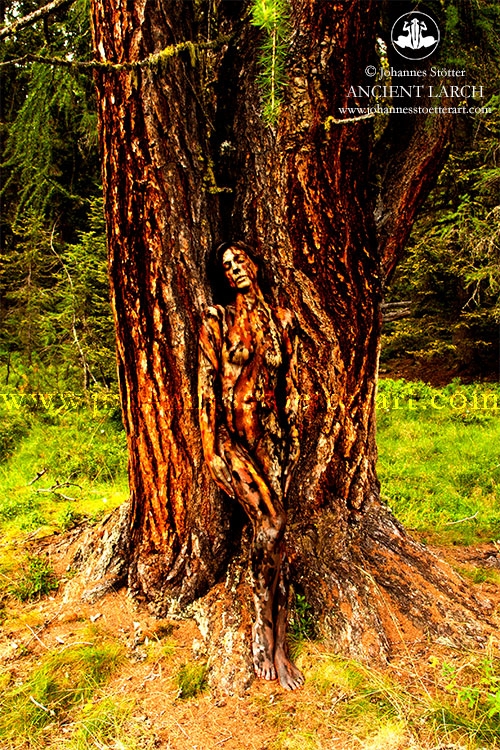 body-art-paintings-nature-inspired-illusions-tree-3